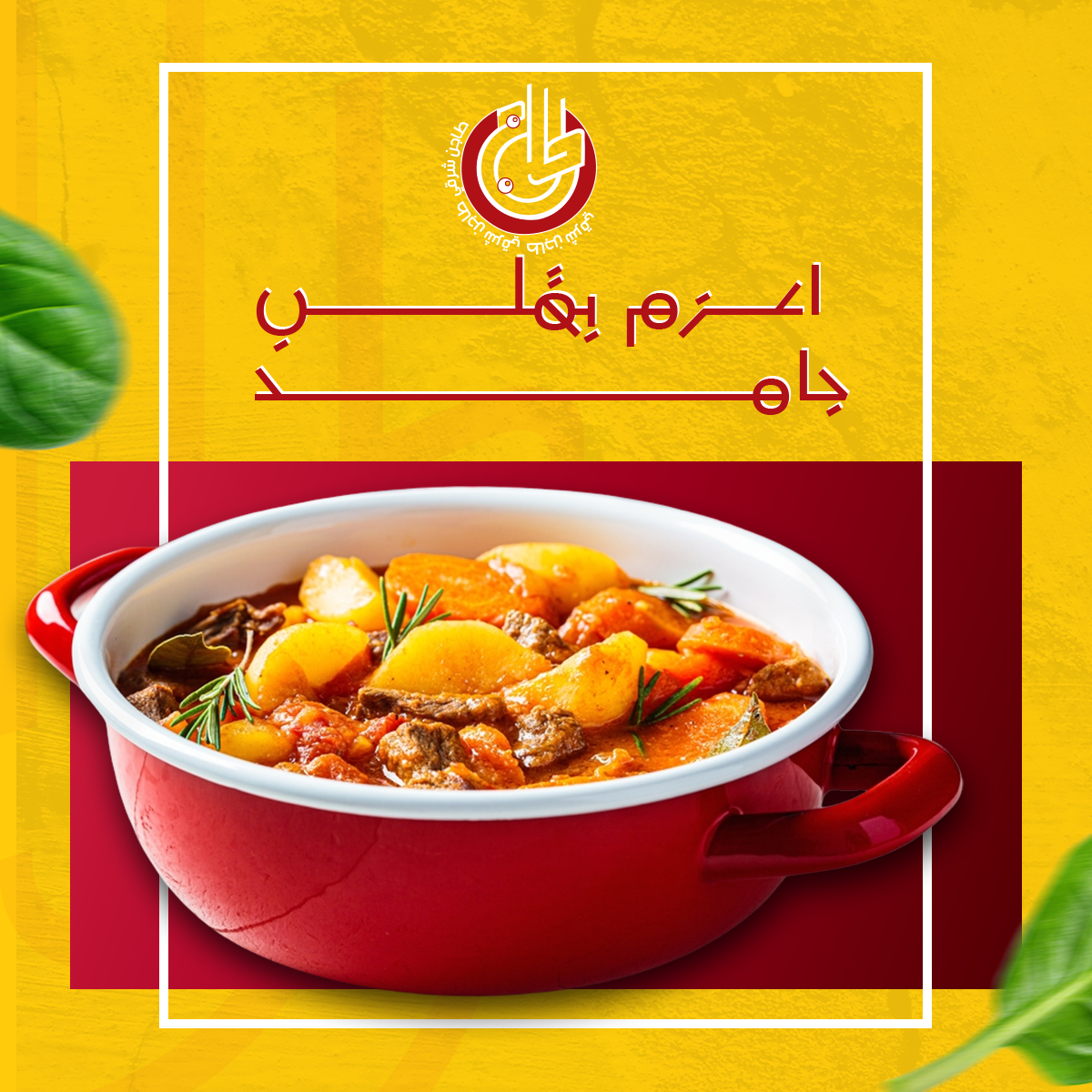 تصميمات سوشيل ميديا from scratch