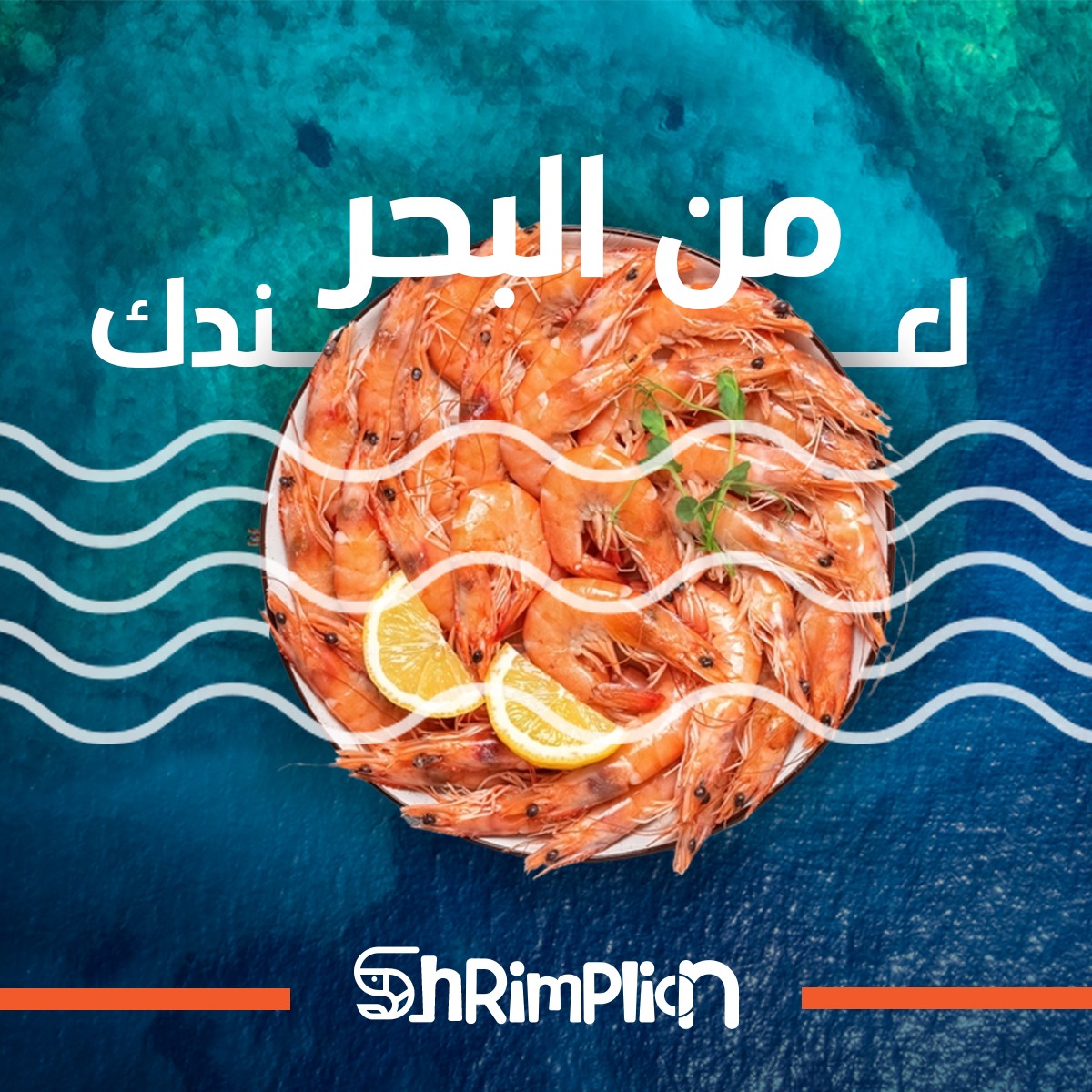 تصميمات سوشيل ميديا from scratch